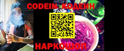 мдпв Кингисепп