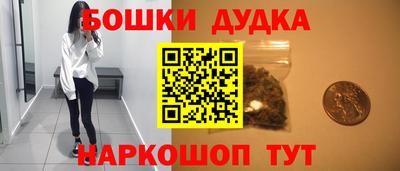 мдпв Кингисепп