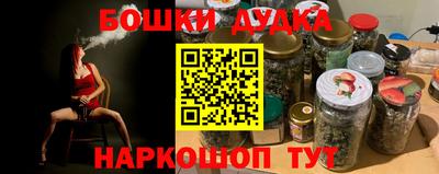 мдпв Кингисепп