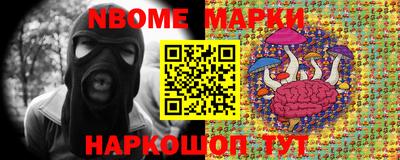 мдпв Кингисепп