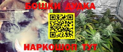 мдпв Кингисепп