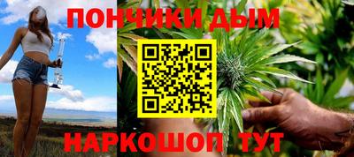 мдпв Кингисепп