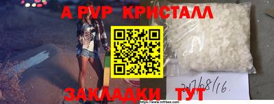 мдпв Кингисепп