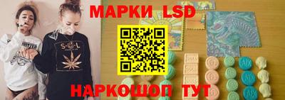 мдпв Кингисепп