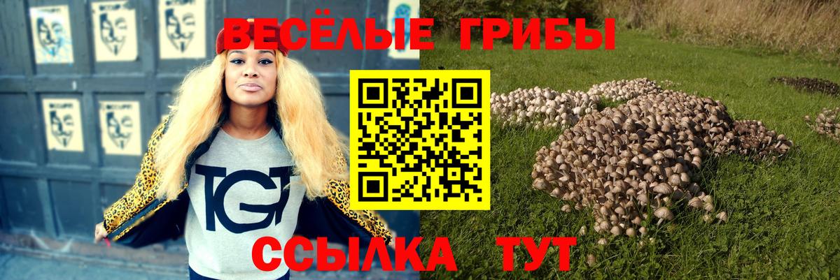 Псилоцибиновые грибы GOLDEN TEACHER Дербент